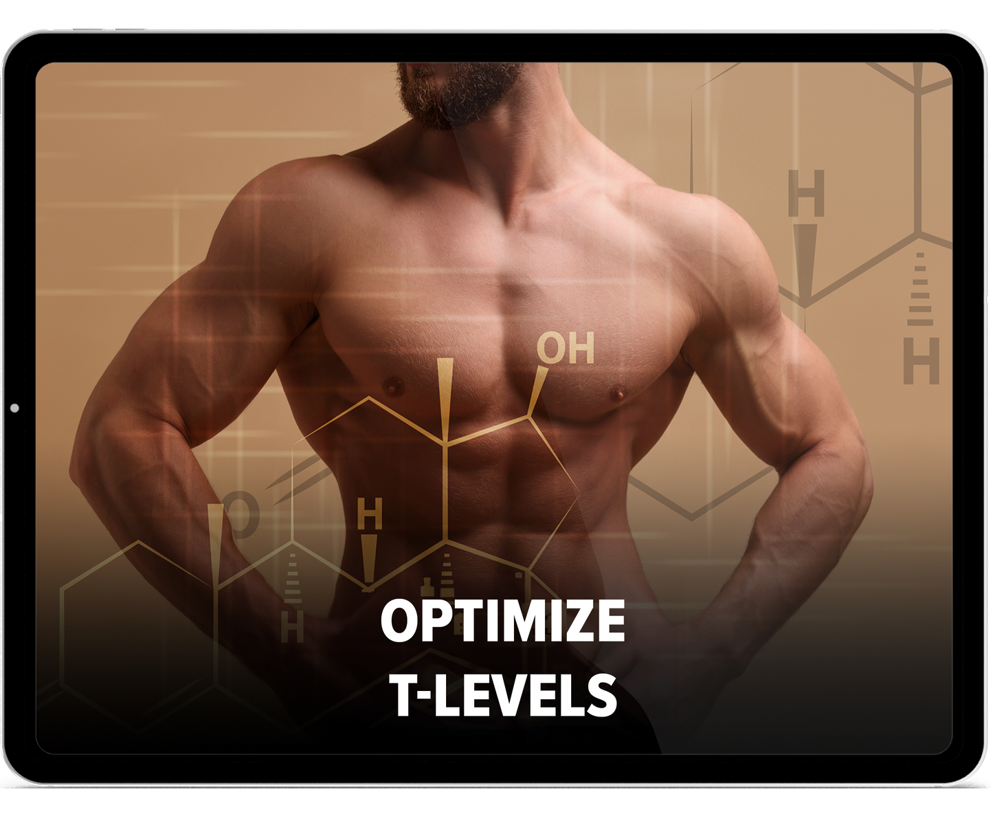 Testosterone Video Guide Programme