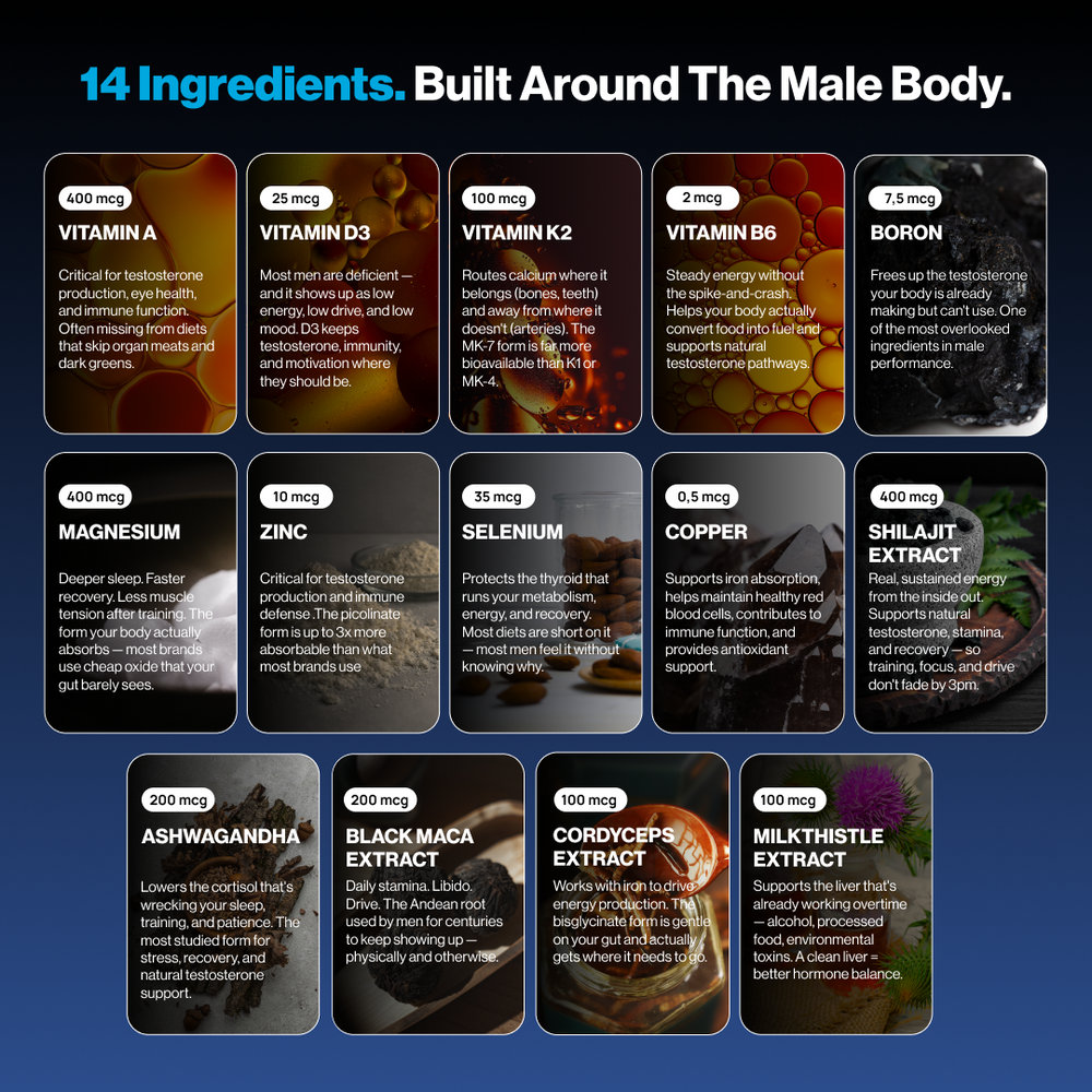 Zapply T1 | All-In-One Formula for Testosterone & Energy.
